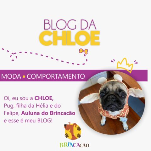 Blog da Chloe | Brincacão